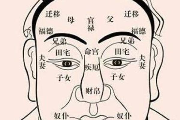 面相解析：揭秘人上人的独特气质