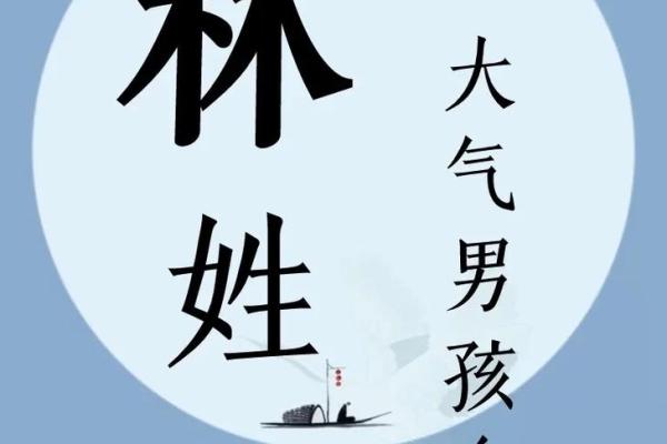 林氏宝宝取名：诗意盎然，灵动可爱