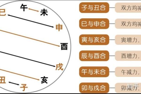 地支妙技法与命理学的完美结合