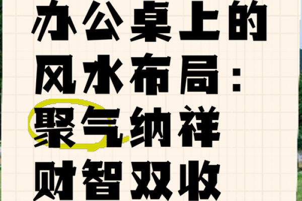 办公室风水宝典：摆放这些，财运亨通、事业飞升