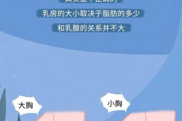 酥胸秘语：揭秘女人乳房面相的神秘魅力