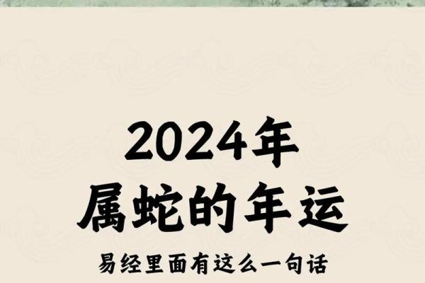 属蛇男，面相藏神秘魅力，揭秘他独特的运势密码！