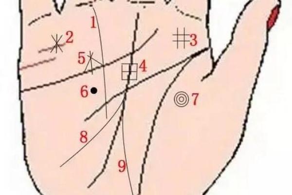 揭秘手相中隐藏的十二地支信息