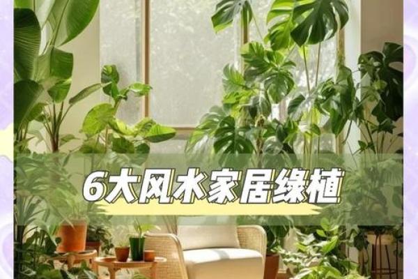 风水屋顶摆设:家居运势提升的秘密法宝 风水屋顶摆设:家居运势提升的秘密法宝