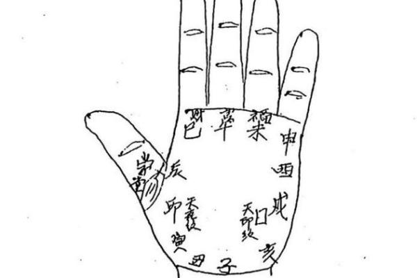 掌中乾坤，一掌定乾坤