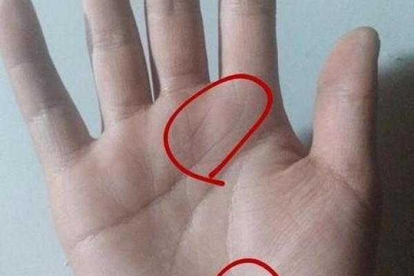 健康手相秘籍：双健康线揭示人生财富与幸福