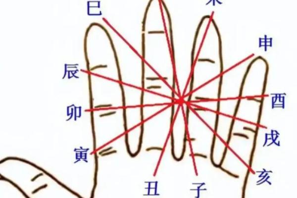 如何理解申亥地支在八字中的重要作用