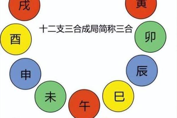 天干地支与生肖运势的关系揭秘