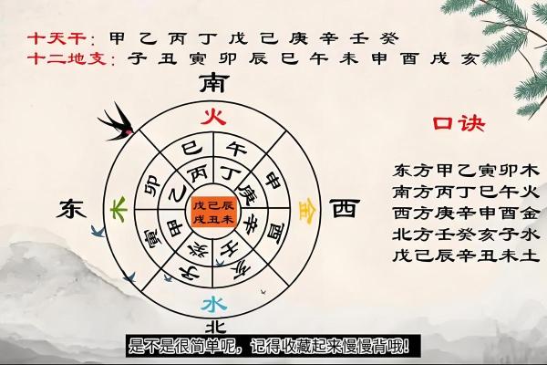 天干地支与生肖运势的关系揭秘