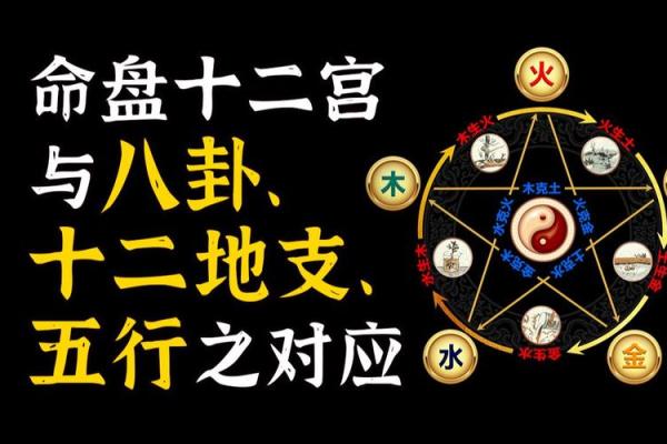如何运用十二地支神杀来解读命盘