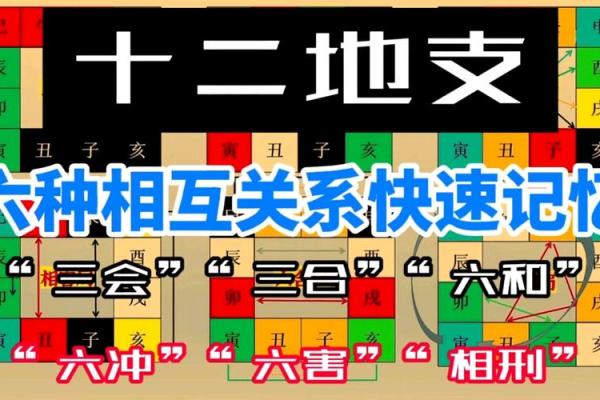 八字命理中的地支争合与性格关系