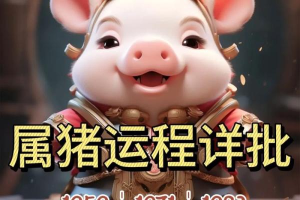 属猪人适合的吉日与避忌日 属猪人适合的吉日与避忌日