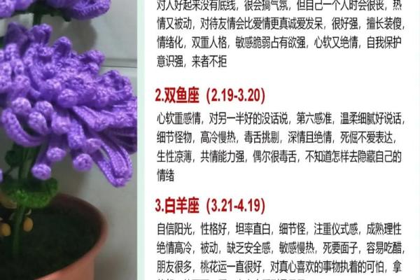 运势全解析:星座运程详尽指南 运势全解析:星座运程详尽指南