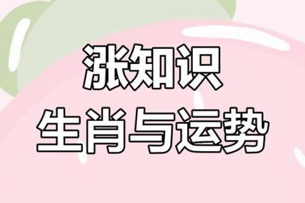 生肖运势大揭秘:今日运势一览无遗 生肖运势大揭秘:今日运势一览无遗