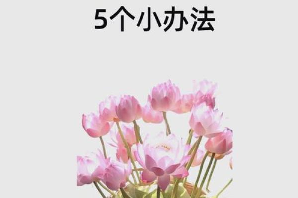 旺财旺运办公室风水秘语
