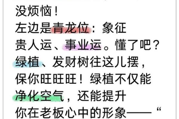 窗光无限好，背窗办公风水攻略，助你职场升迁！