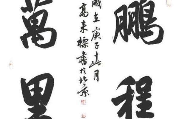 赵鹏之运：翱翔天际，鹏程万里