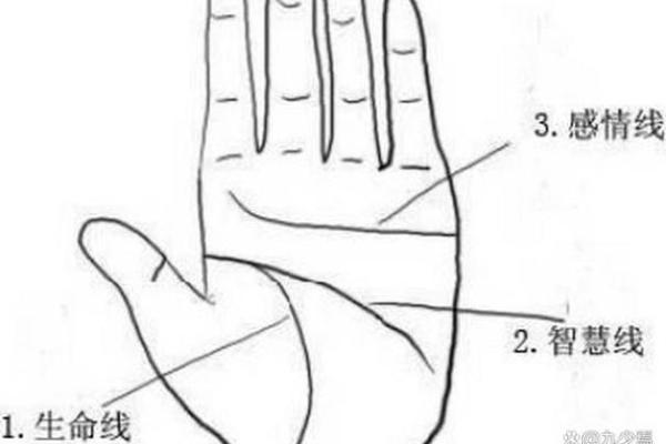 棺材手相大揭秘：一探究竟，你的命运如何？
