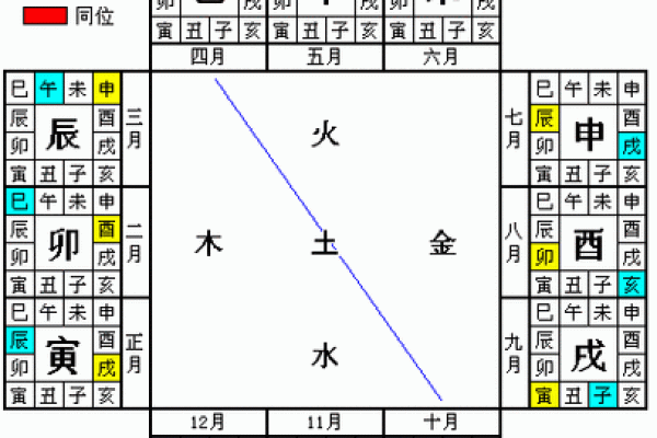 探索地支半墓合在命理中的作用