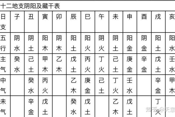 深入理解壬地支藏干在八字中的作用