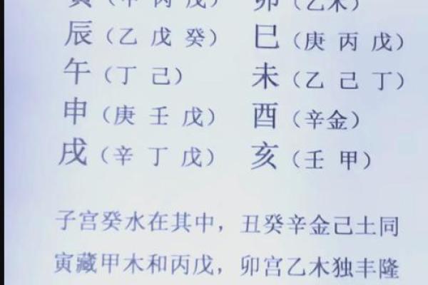 深入理解壬地支藏干在八字中的作用