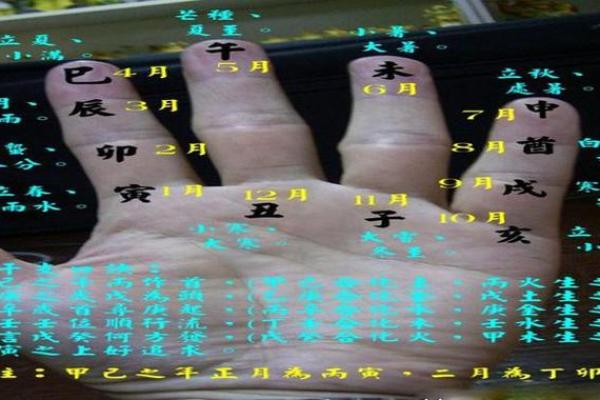 天地支手指算法在实际项目中的创新应用
