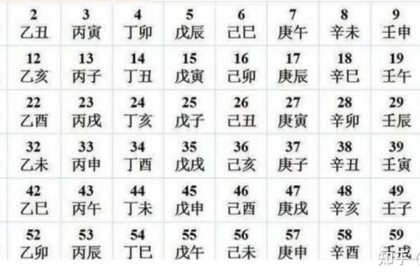 掌握地支生表提升命理精准度