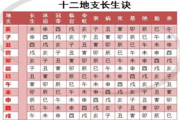 掌握地支生表提升命理精准度