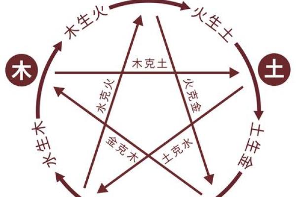 揭秘地支相生相克的奥秘