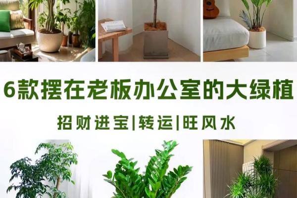 揭秘农村办公室大门风水：如何布局，招财进宝！
