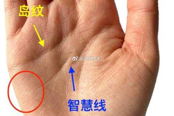 掌握手相秘密，让你的运势翻倍飙升！