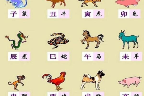 探索地支与生肖的深刻联系