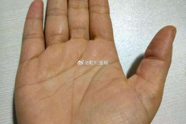 手上螺纹暗藏运势：解码你的未来财运