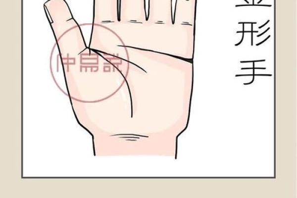 手上螺纹暗藏运势：解码你的未来财运