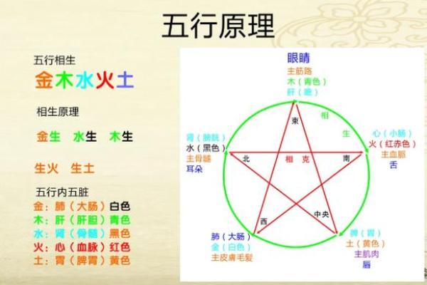 旋字五行归属与命理影响 旋字五行归属与命理影响
