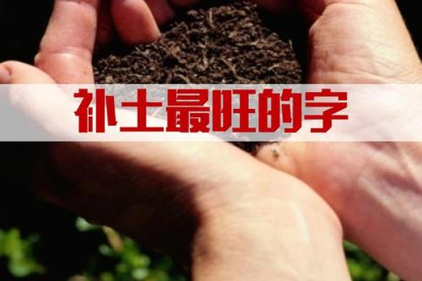 五行属土字的独特魅力 五行属土字的独特魅力