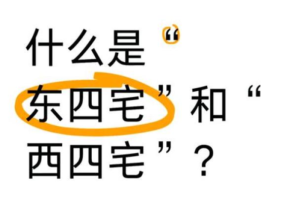 如何根据风水学合理布局客厅空间