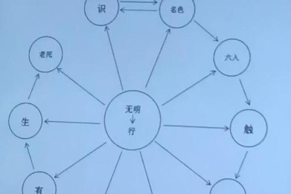 解密佛道缘分与地支的深层联系