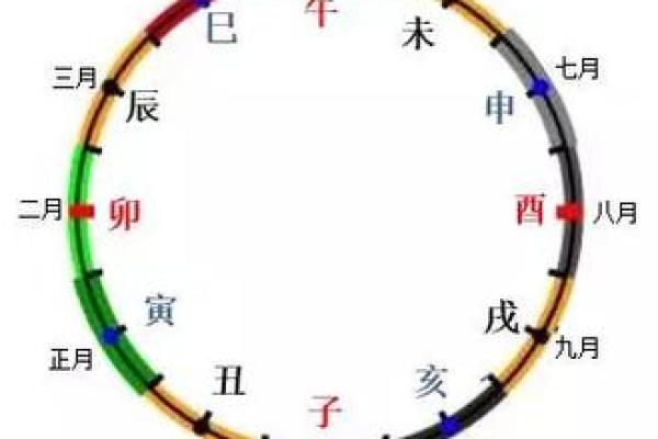 高清十二地支图案展示