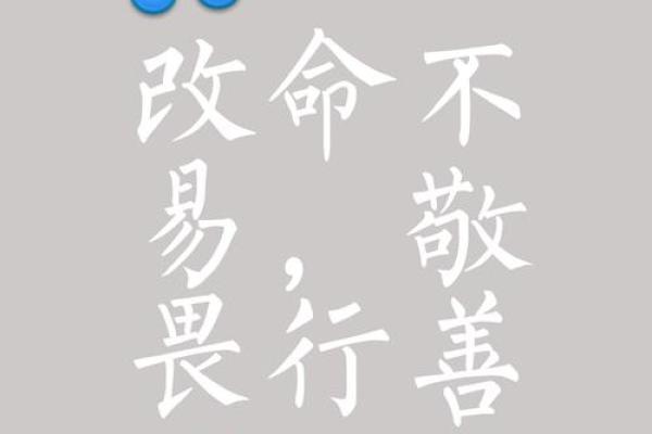 苗子恒：恒久如一的智慧之光，命运之路璀璨生辉