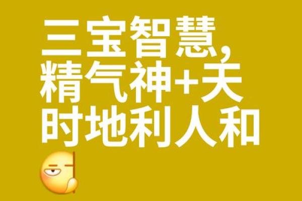苗子恒：恒久如一的智慧之光，命运之路璀璨生辉