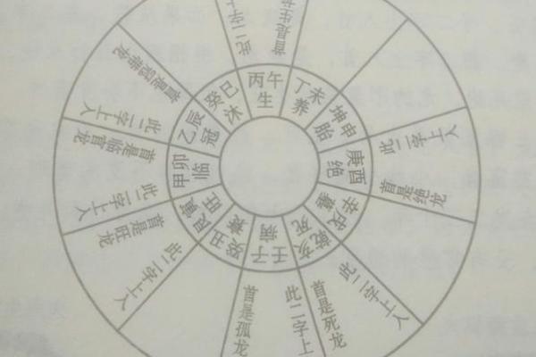 打造理想阳宅：风水学中的空间规划与设计