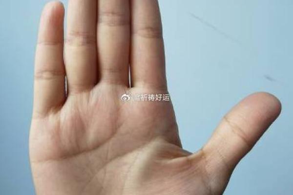 半年后手相大揭秘：运势飙升的秘密！