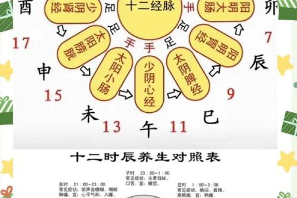 十二地支如何影响个人性格发展