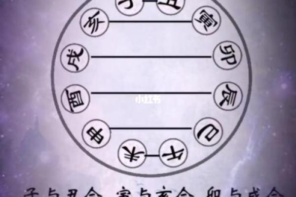 地支全是未，命理中的独特组合