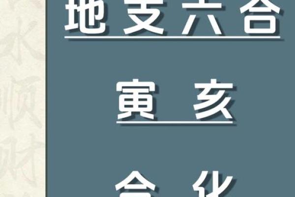 解析申亥地支组合对命运的深远影响
