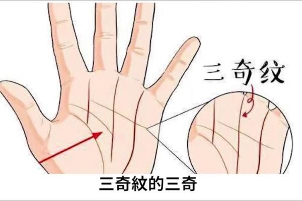 千年秘术揭秘:罕见手相背后的惊人秘密! 千年秘术揭秘:罕见手相背后的惊人秘密!