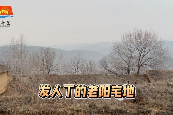 杨公救贫：揭秘阳宅风水，让您财运亨通、家庭幸福
