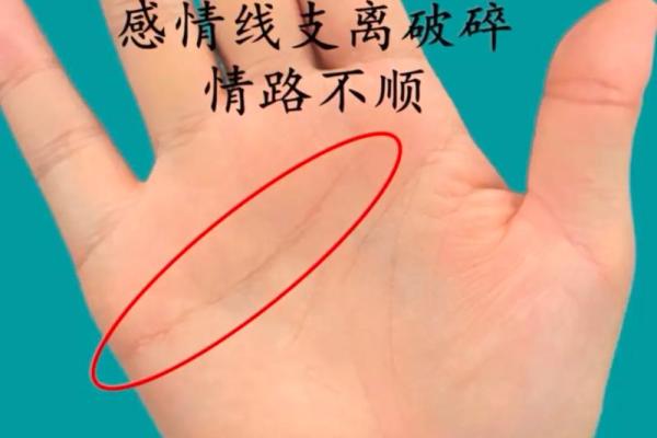 神秘手纹揭秘:罕见手相中的独特密码 神秘手纹揭秘:罕见手相中的独特密码