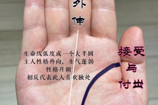 神秘手纹揭秘:罕见手相中的独特密码 神秘手纹揭秘:罕见手相中的独特密码